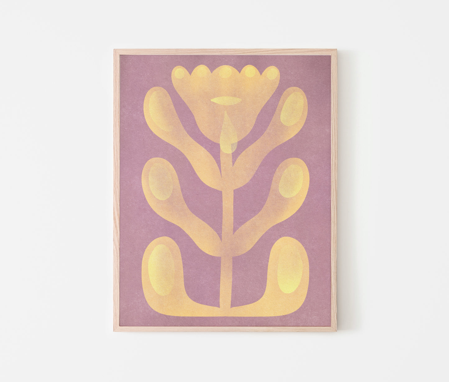 cry tulip